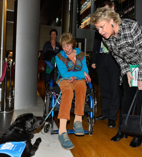 Fotografie 6: Viviane REDING - EC Vice President welcomes Martin KASTLER and Susanne PICHERT and assistance dog LAGUNA