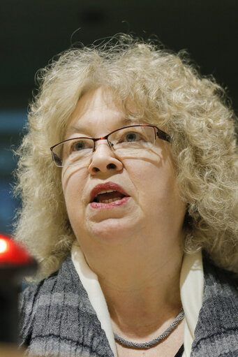 Fotografie 23: Roundtable discussion - Europe on the far right. Developments and strategies against