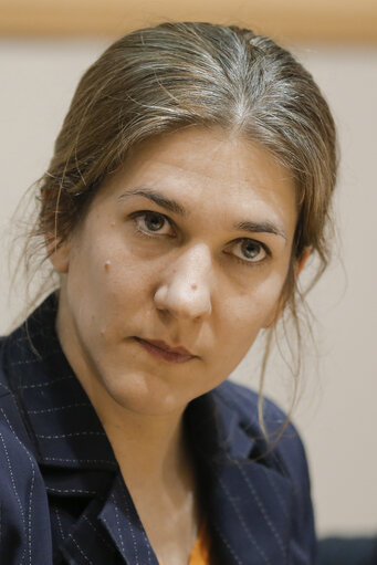 Fotografie 14: Roundtable discussion - Europe on the far right. Developments and strategies against