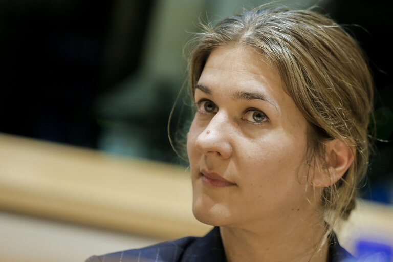 Fotografie 9: Roundtable discussion - Europe on the far right. Developments and strategies against