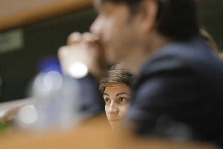 Fotografie 6: Roundtable discussion - Europe on the far right. Developments and strategies against