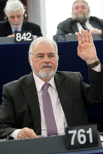 Fotografia 5: Konstantino POUPAKIS  during the vote in plenary