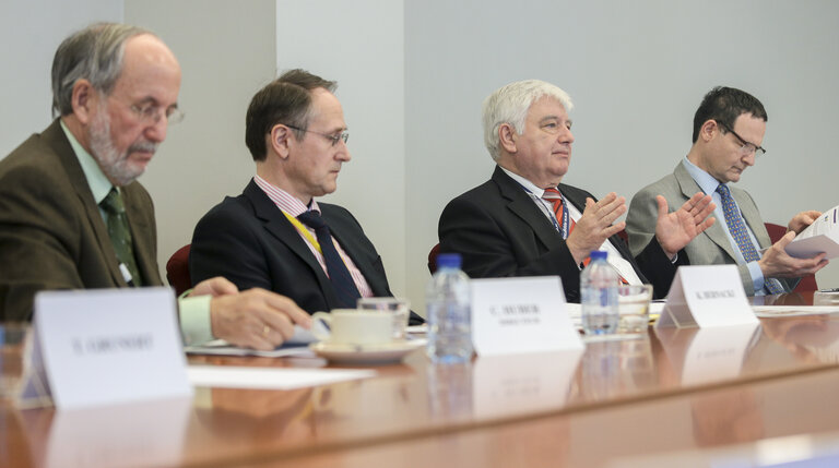 Laszlo SURJAN with MEPs Occidents Balkans