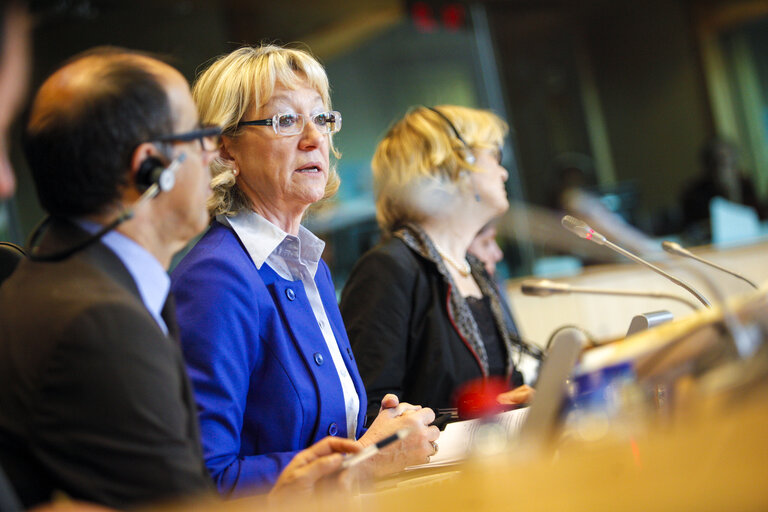 Fotografie 22: BUDG Public hearing on Implementing the Youth Employment Initiative