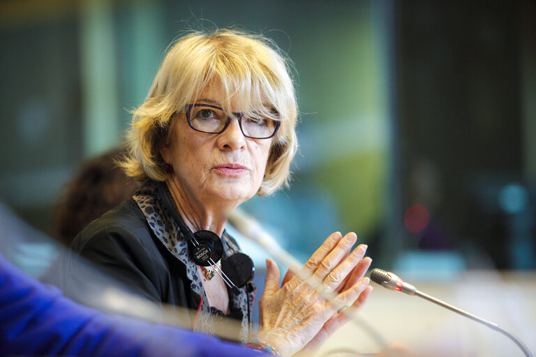 Fotografie 15: BUDG Public hearing on Implementing the Youth Employment Initiative