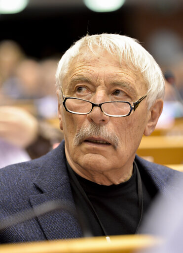 Foto 5: Portrait of Richard FALBR in plenary session in Brussels