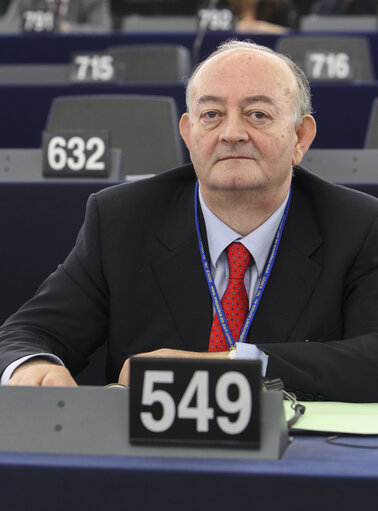 Vincenzo IOVINE during the vote at the plenary session