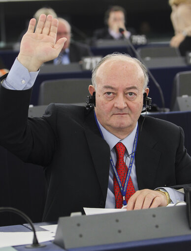 Vincenzo IOVINE during the vote at the plenary session