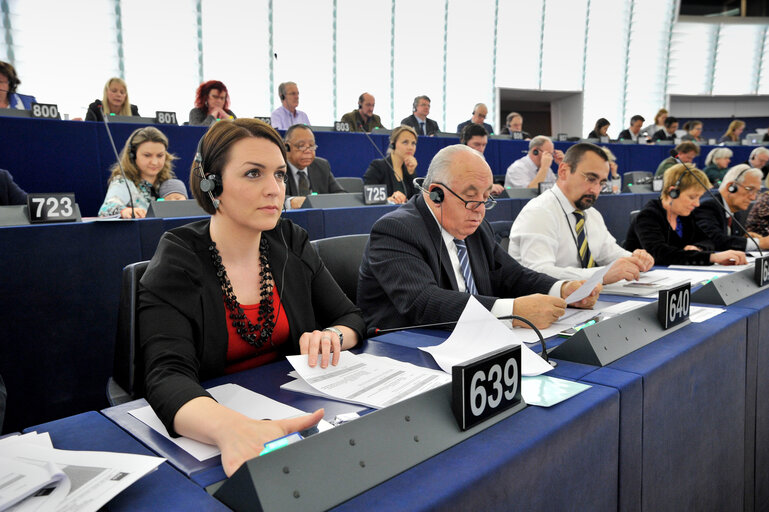 Снимка 2: Sandra PETROVIV JAKOVINA in plenary in Strasbourg