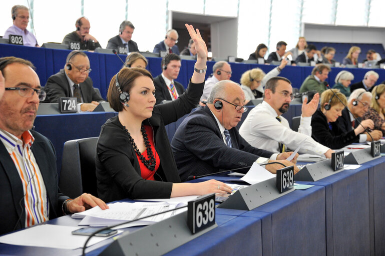 Снимка 1: Sandra PETROVIV JAKOVINA in plenary in Strasbourg