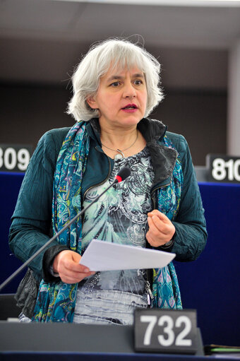 Φωτογραφία 3: Elisabeth SCHROEDTER in plenary session week 16 2014 in Strasbourg