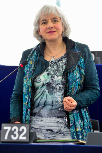 Fotó 1: Elisabeth SCHROEDTER in plenary session week 16 2014 in Strasbourg