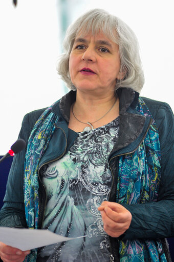 Φωτογραφία 2: Elisabeth SCHROEDTER in plenary session week 16 2014 in Strasbourg