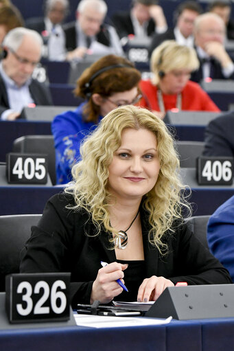 Fotogrāfija 3: Nadja HIRSCH in plenary session week 50 2017