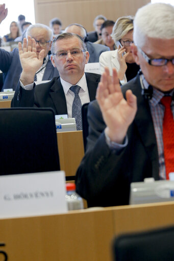 Снимка 16: ENVI Committee meeting. Vote on Greenhouse gas (GHG) emissions from the land use and forestry sector post-2020