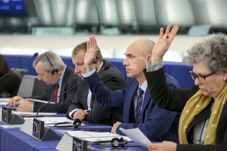 Zdjęcie 2: Razvan POPA in plenary session week 46 2017 in Strasbourg