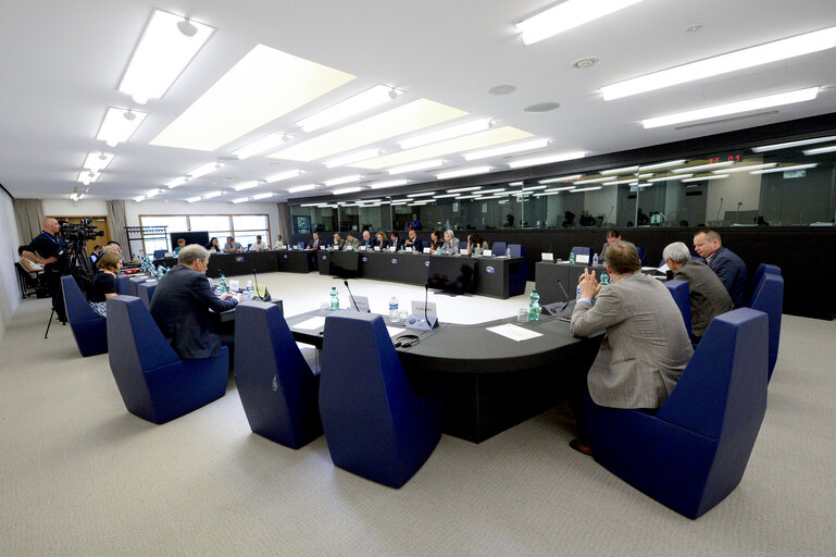 Meeting of the Delegation to the EU-Armenia and EU-Azerbaijan Parliamentary Cooperation Committees and the EU-Georgia Parliamentary Association Committee - Exchange of views with a representative of the Venice Commission (Council of Europe) on the constitutional reforms in Georgia