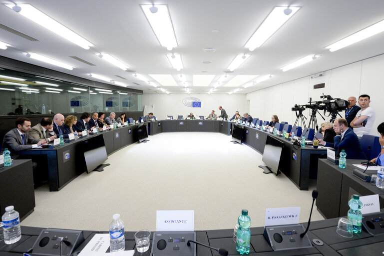 Meeting of the Delegation to the EU-Armenia and EU-Azerbaijan Parliamentary Cooperation Committees and the EU-Georgia Parliamentary Association Committee - Exchange of views with a representative of the Venice Commission (Council of Europe) on the constitutional reforms in Georgia