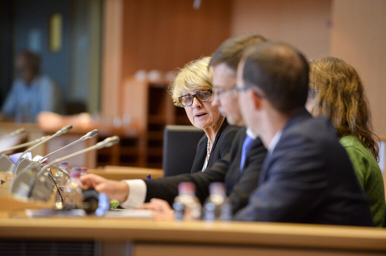 Fotografia 7: AFCO - Inter Parliamentary Committee Meeting