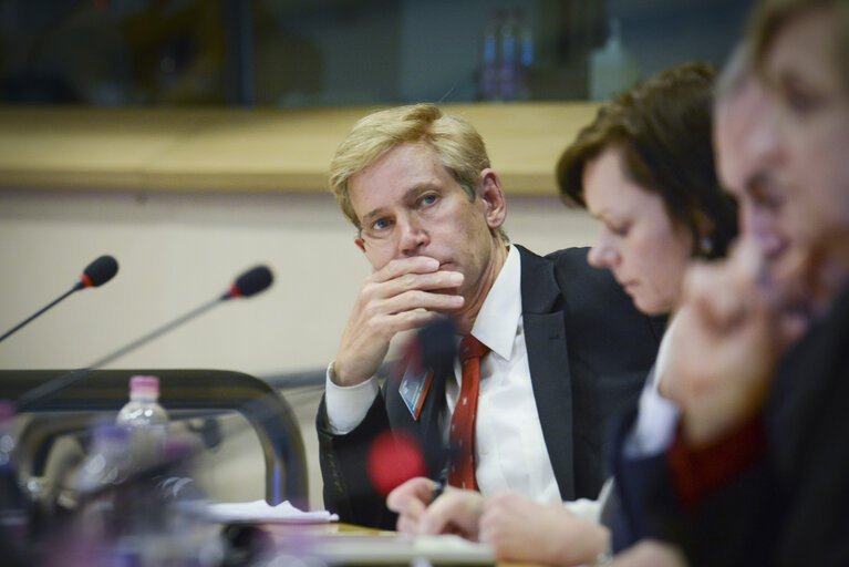 Foto 8: SEDE Committee - Exchange of views on UN Treaty on the prohibition of nuclear weapons and the situation of nuclear proliferation