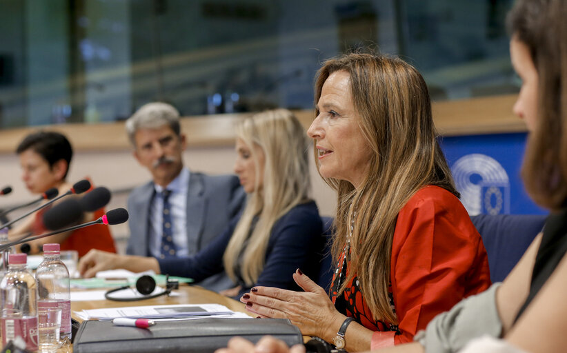 Fotografia 5: 23rd EU-Mexico Joint Parliamentary Committee - Inauguration