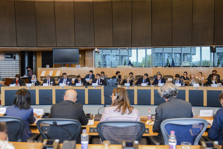 Foto 11: Interparlamentary Meeting EU - Algeria