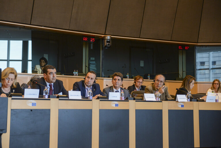 Foto 9: Interparlamentary Meeting EU - Algeria