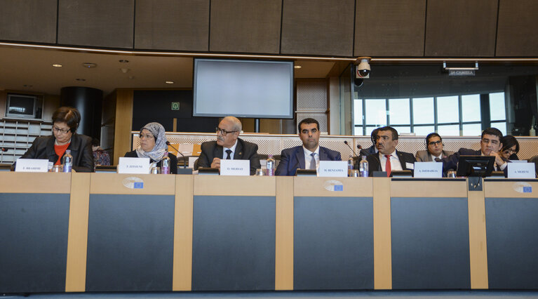 Fotografie 8: Interparlamentary Meeting EU - Algeria