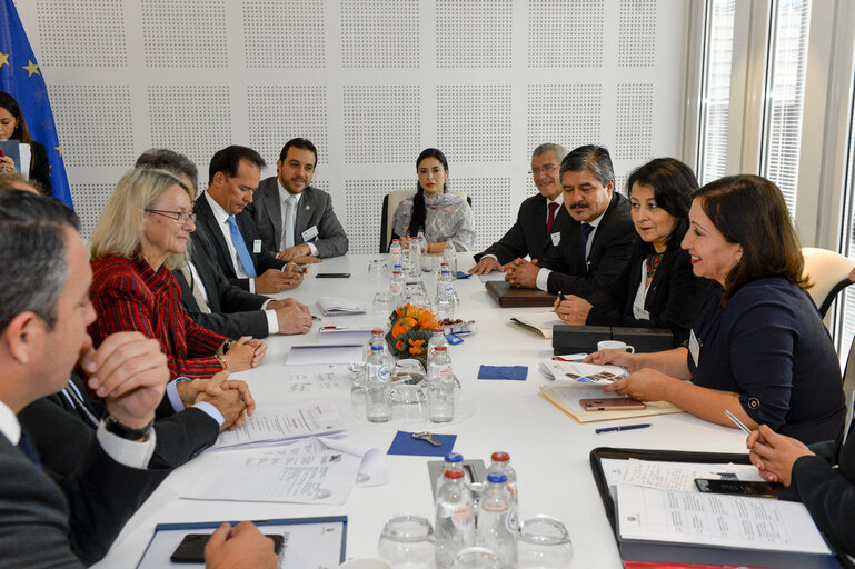 Fotografija 6: Euro-Latin American Parliamentary Assembly - Visit of the Andean Parlement and the National Assembly of Ecuador - Meeting with EP Vice-President Evelyne GEBHARDT