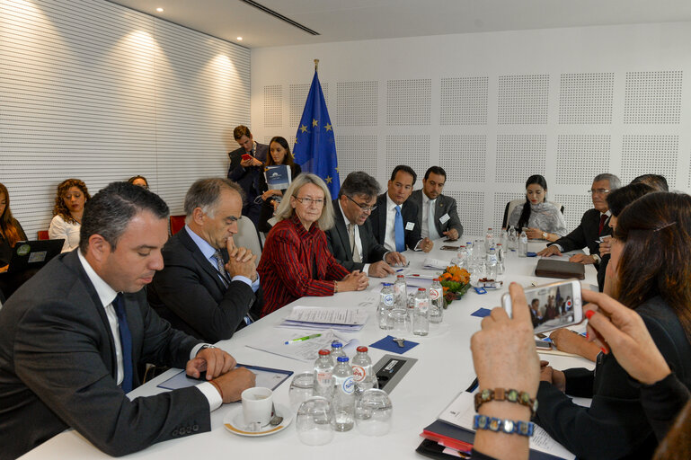 Fotografija 8: Euro-Latin American Parliamentary Assembly - Visit of the Andean Parlement and the National Assembly of Ecuador - Meeting with EP Vice-President Evelyne GEBHARDT