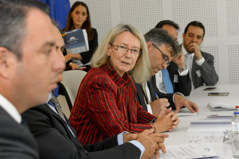 Fotografija 7: Euro-Latin American Parliamentary Assembly - Visit of the Andean Parlement and the National Assembly of Ecuador - Meeting with EP Vice-President Evelyne GEBHARDT