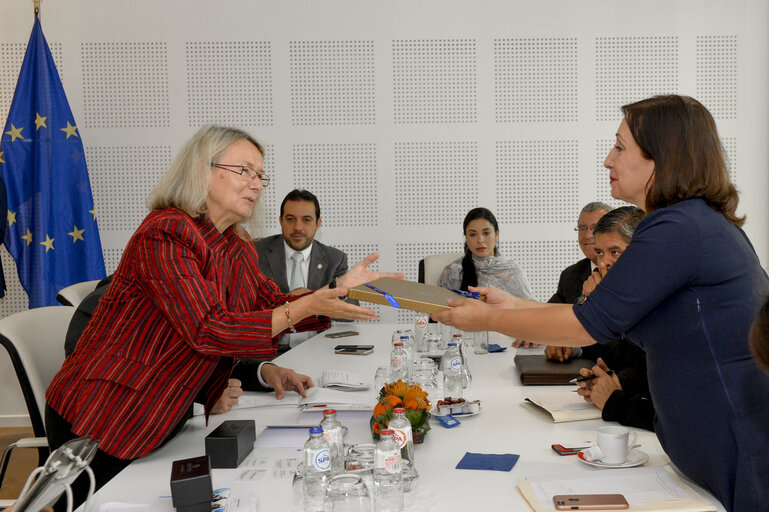 Fotografija 4: Euro-Latin American Parliamentary Assembly - Visit of the Andean Parlement and the National Assembly of Ecuador - Meeting with EP Vice-President Evelyne GEBHARDT