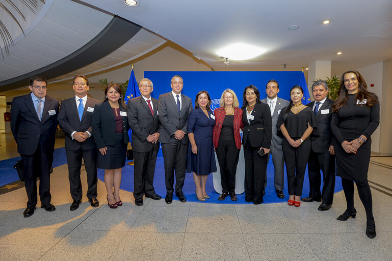 Снимка 3: Euro-Latin American Parliamentary Assembly - Visit of the Andean Parlement and the National Assembly of Ecuador - Meeting with EP Vice-President Evelyne GEBHARDT