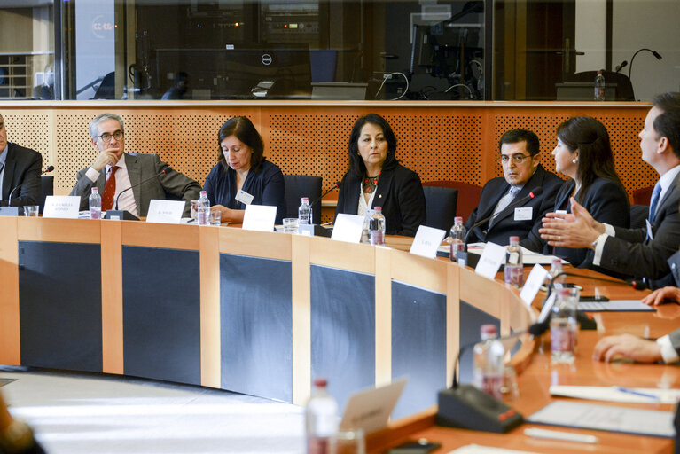 Fotografia 7: Euro-Latin American Parliamentary Assembly - Visit of the Andean Parlement and the National Assembly of Ecuador -