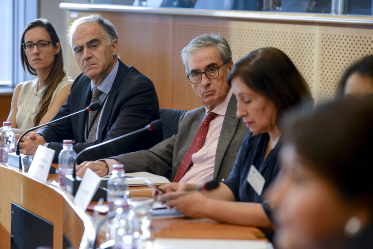 Fotografia 6: Euro-Latin American Parliamentary Assembly - Visit of the Andean Parlement and the National Assembly of Ecuador -