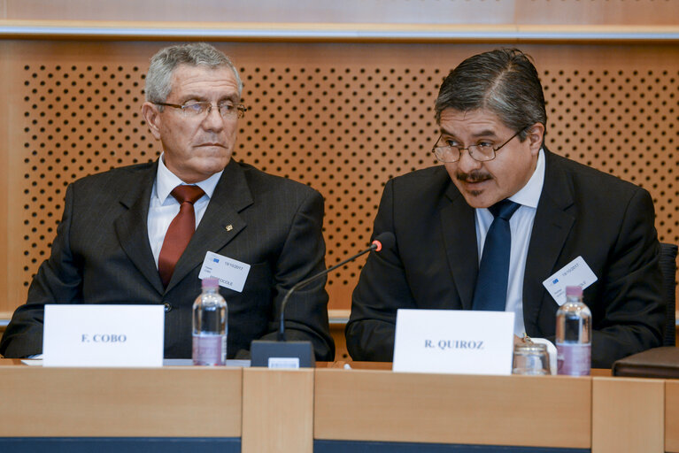 Foto 5: Euro-Latin American Parliamentary Assembly - Visit of the Andean Parlement and the National Assembly of Ecuador -