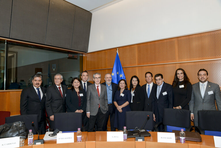 Foto 1: Euro-Latin American Parliamentary Assembly - Visit of the Andean Parlement and the National Assembly of Ecuador -