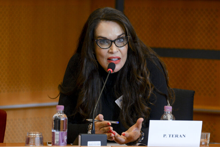 Foto 3: Euro-Latin American Parliamentary Assembly - Visit of the Andean Parlement and the National Assembly of Ecuador -