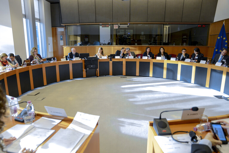 Foto 2: Euro-Latin American Parliamentary Assembly - Visit of the Andean Parlement and the National Assembly of Ecuador -