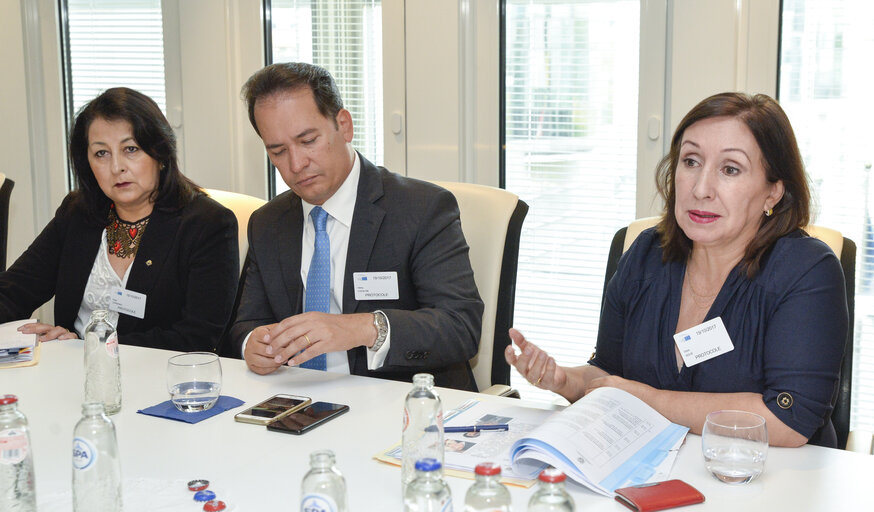 Photo 5: Euro-Latin American Parliamentary Assembly - Visit of the Andean Parlement and the National Assembly of Ecuador -