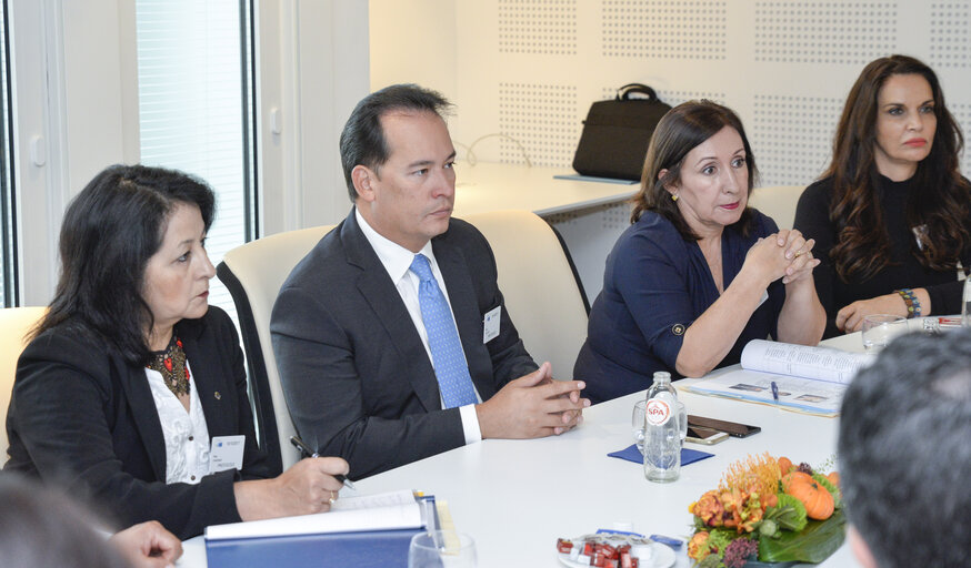 Fotografia 7: Euro-Latin American Parliamentary Assembly - Visit of the Andean Parlement and the National Assembly of Ecuador -