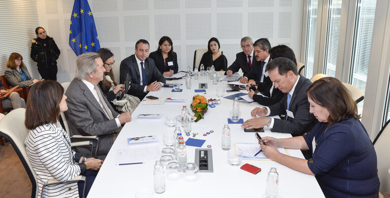 Photo 3: Euro-Latin American Parliamentary Assembly - Visit of the Andean Parlement and the National Assembly of Ecuador -