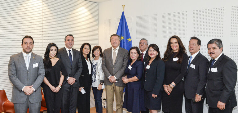 Fotografia 1: Euro-Latin American Parliamentary Assembly - Visit of the Andean Parlement and the National Assembly of Ecuador -