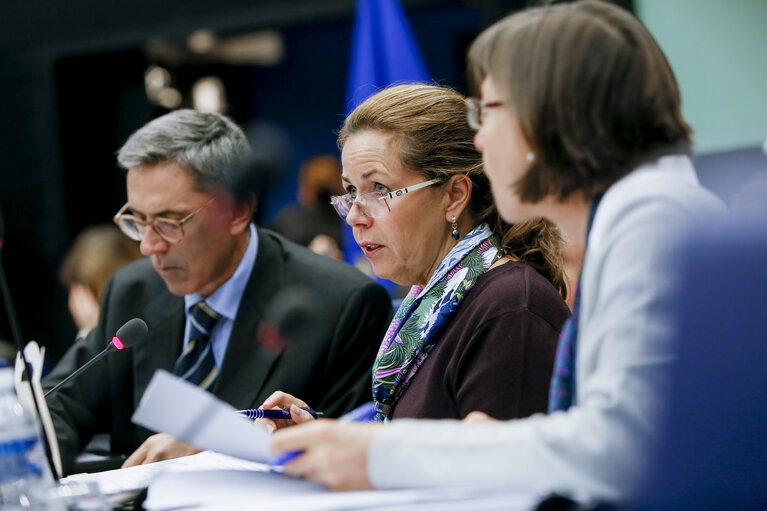 Meeting of the Conference of Committee Chairs - Exchange of views with the Deputy Minister for EU Affairs of the Estonian Presidency