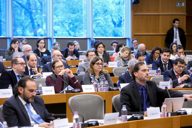 Photo 24: Delegation to the Euro-Latin American Parliamentary Assembly (DLAT) high-level seminar - ‘ The future is today : the European Union and the Americas facing a unique opportunity ’