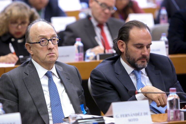 Photo 26: Delegation to the Euro-Latin American Parliamentary Assembly (DLAT) high-level seminar - ‘ The future is today : the European Union and the Americas facing a unique opportunity ’