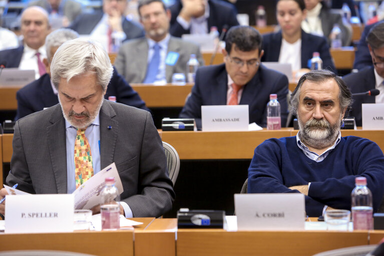 Photo 20: Delegation to the Euro-Latin American Parliamentary Assembly (DLAT) high-level seminar - ‘ The future is today : the European Union and the Americas facing a unique opportunity ’