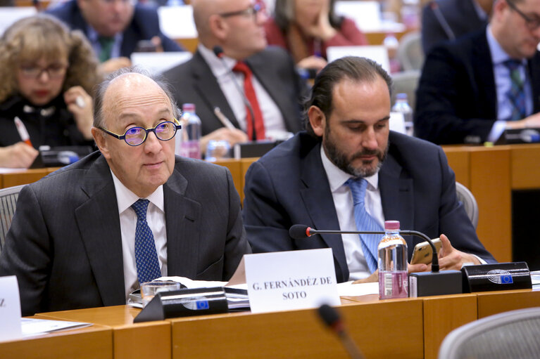 Photo 18: Delegation to the Euro-Latin American Parliamentary Assembly (DLAT) high-level seminar - ‘ The future is today : the European Union and the Americas facing a unique opportunity ’