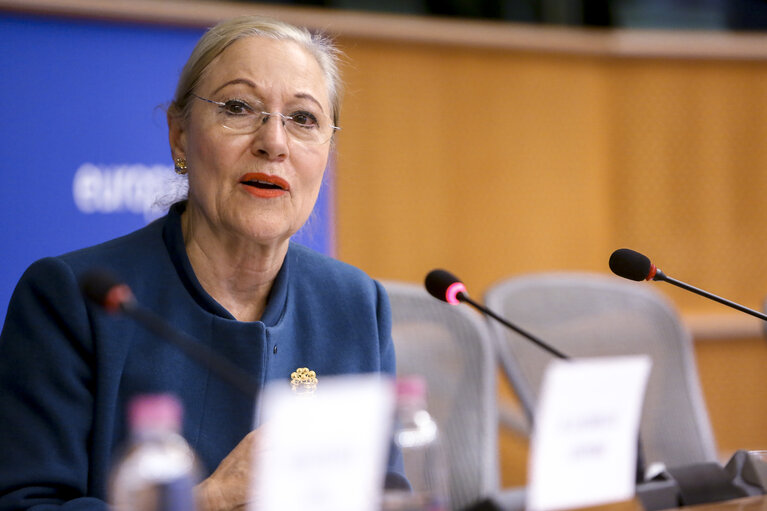 Delegation to the Euro-Latin American Parliamentary Assembly (DLAT) high-level seminar - ‘ The future is today : the European Union and the Americas facing a unique opportunity ’