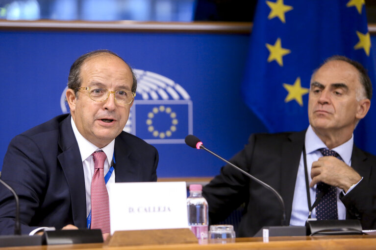 Photo 16: Delegation to the Euro-Latin American Parliamentary Assembly (DLAT) high-level seminar - ‘ The future is today : the European Union and the Americas facing a unique opportunity ’